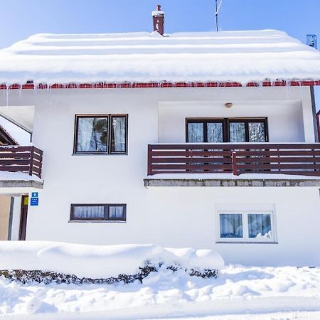 Apartman Japlenški Delnice Dış mekan fotoğraf