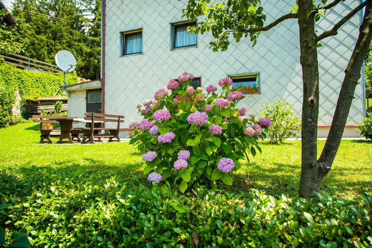 Apartman Japlenški Delnice Dış mekan fotoğraf